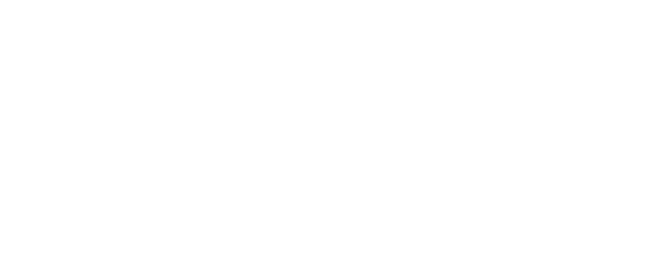 AppFlare Logo (Dark)